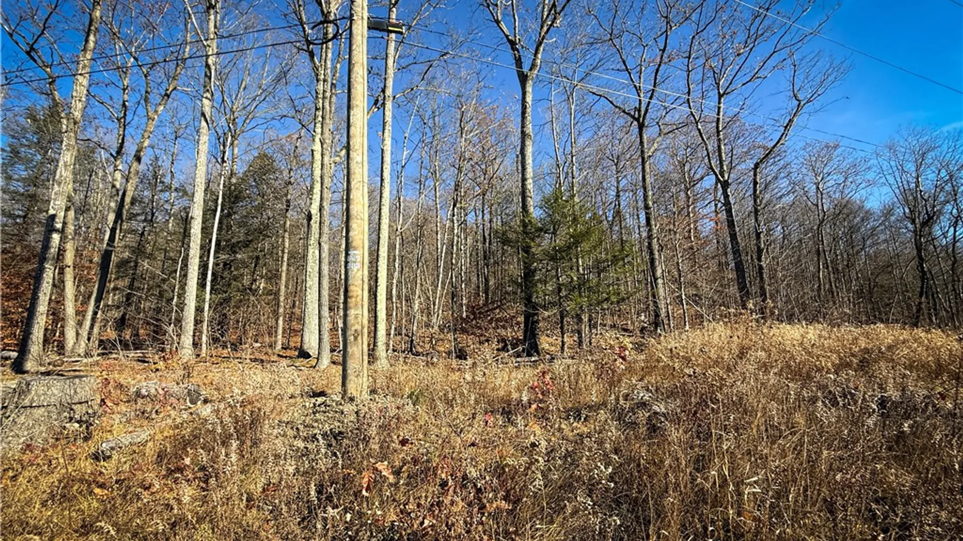 Property at Lot-02 Langford Creek Road, Van Etten, NY 14889 5