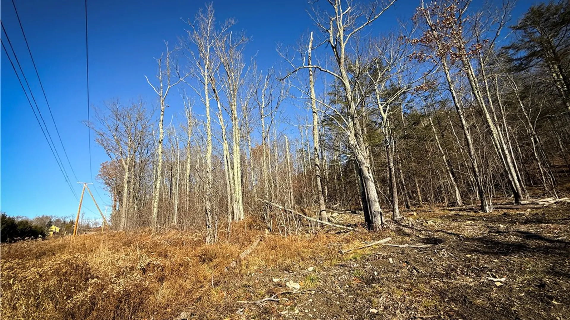 Property at Lot-02 Langford Creek Road, Van Etten, NY 14889 8