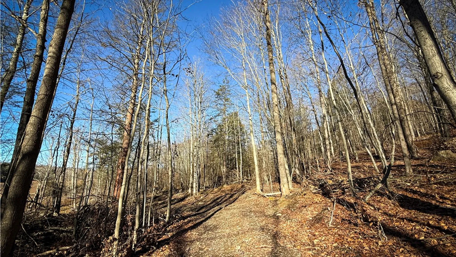 Property at Lot-02 Langford Creek Road, Van Etten, NY 14889 11
