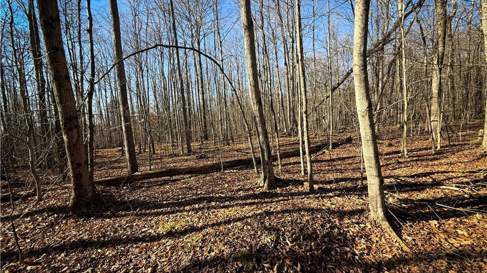 Property at Lot-02 Langford Creek Road, Van Etten, NY 14889 12