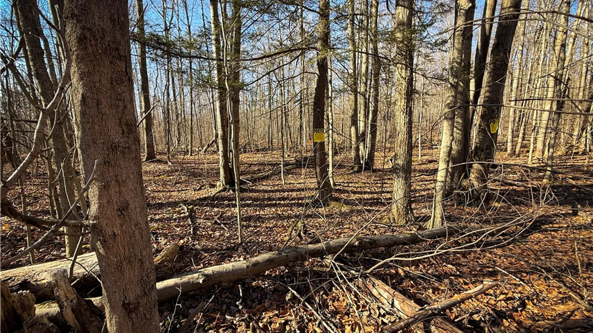 Property at Lot-02 Langford Creek Road, Van Etten, NY 14889 15