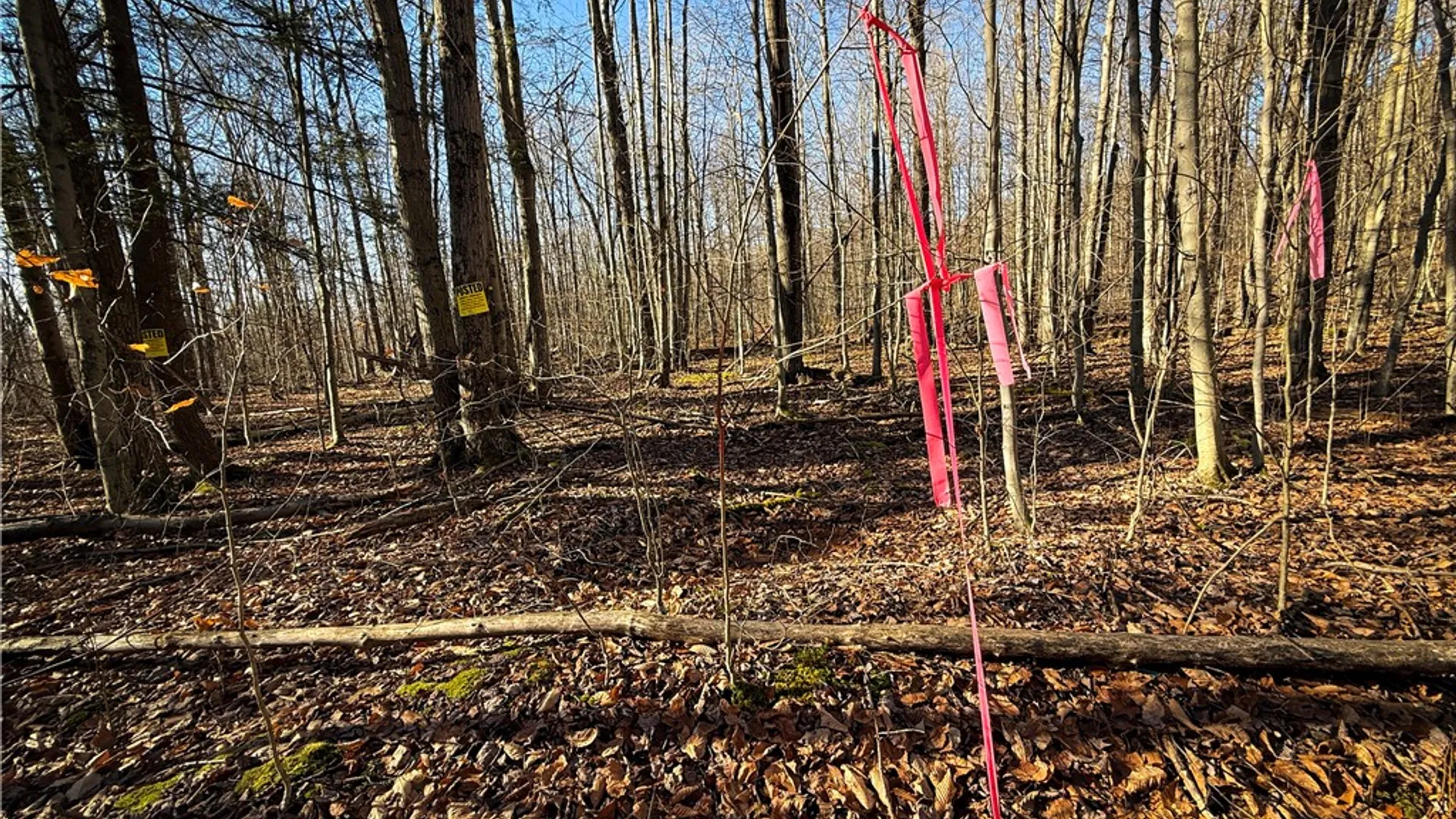 Property at Lot-02 Langford Creek Road, Van Etten, NY 14889 16