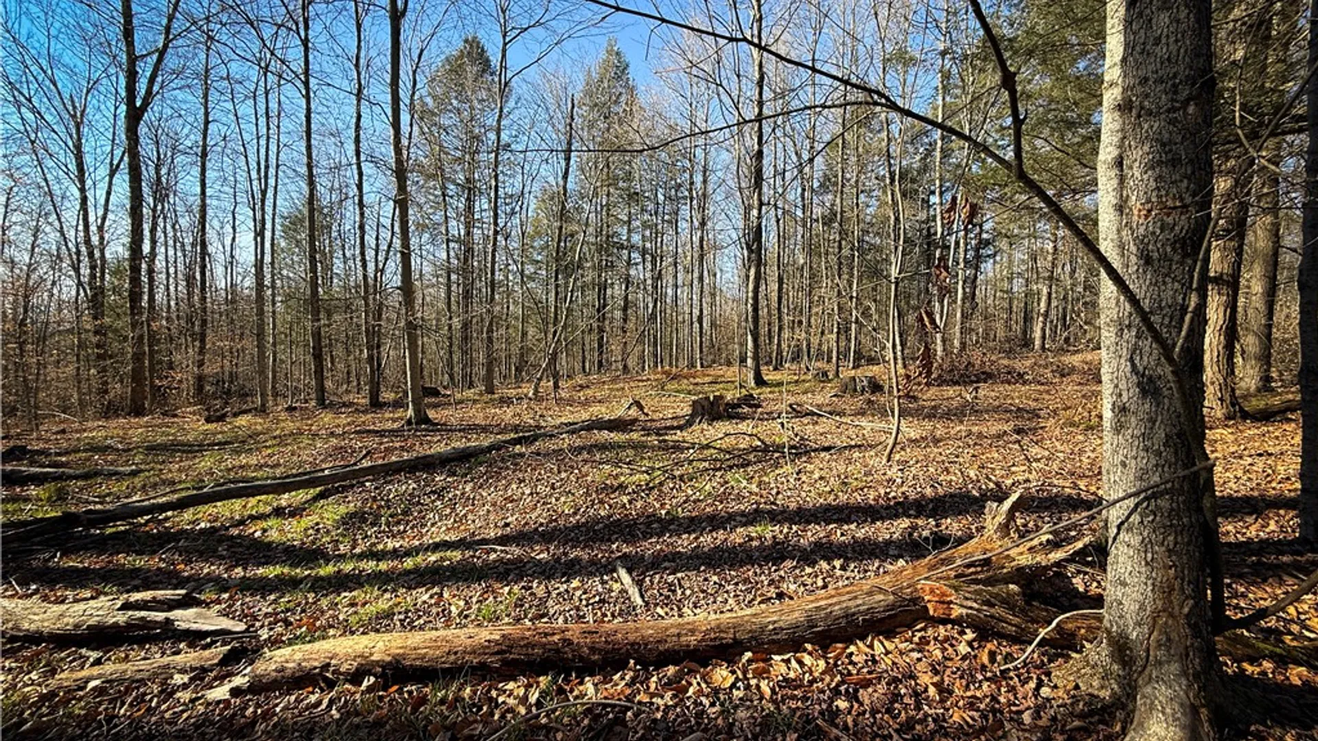 Property at Lot-02 Langford Creek Road, Van Etten, NY 14889 21