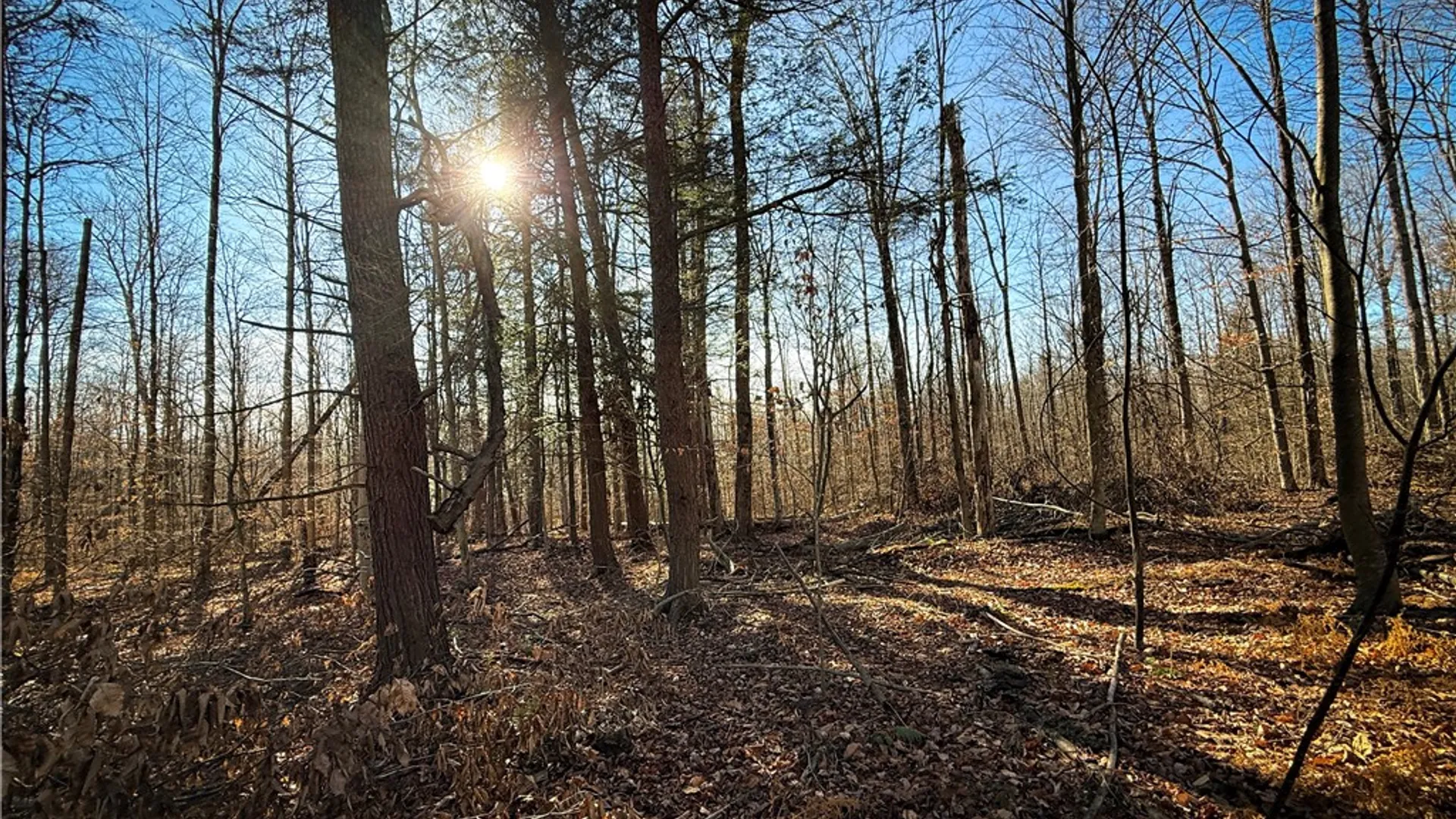 Property at Lot-02 Langford Creek Road, Van Etten, NY 14889 22