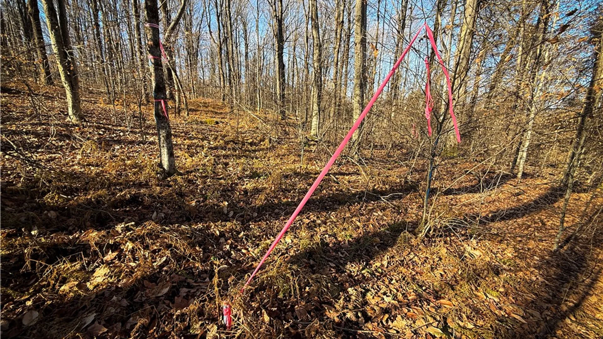 Property at Lot-02 Langford Creek Road, Van Etten, NY 14889 23