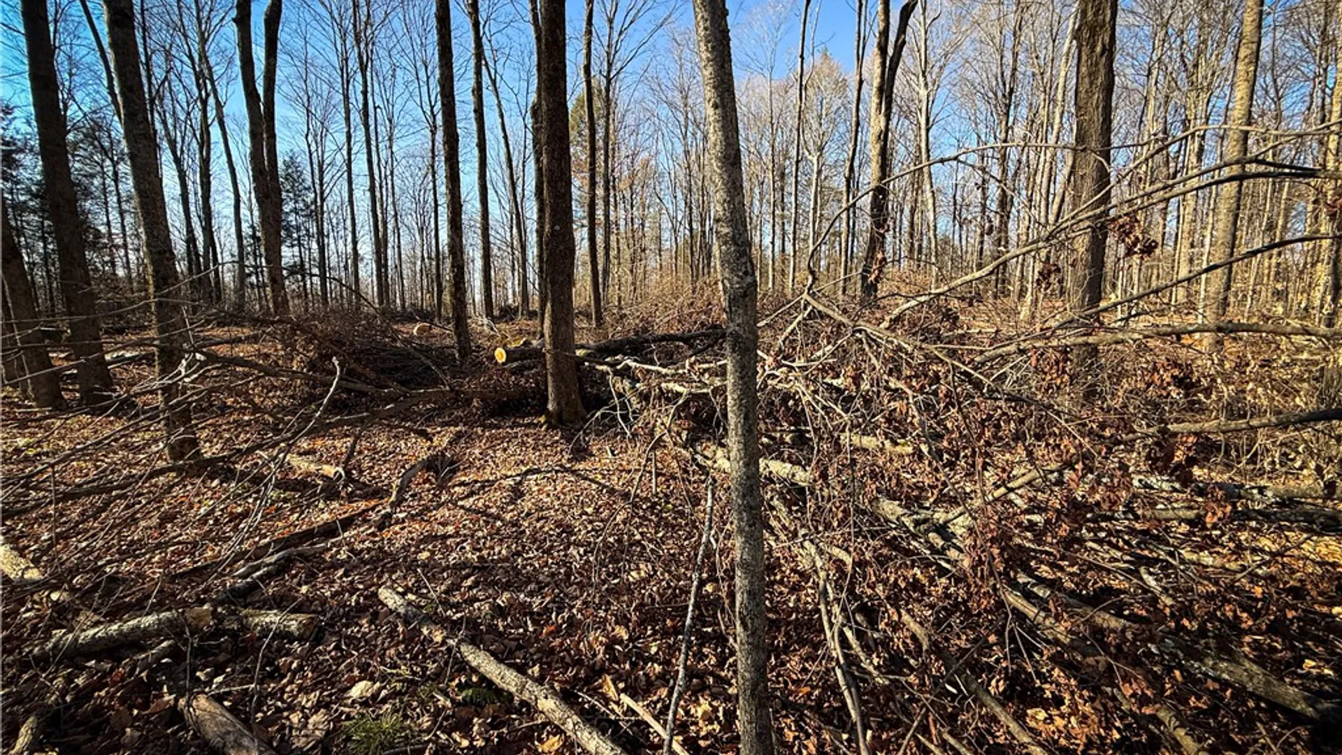 Property at Lot-02 Langford Creek Road, Van Etten, NY 14889 25
