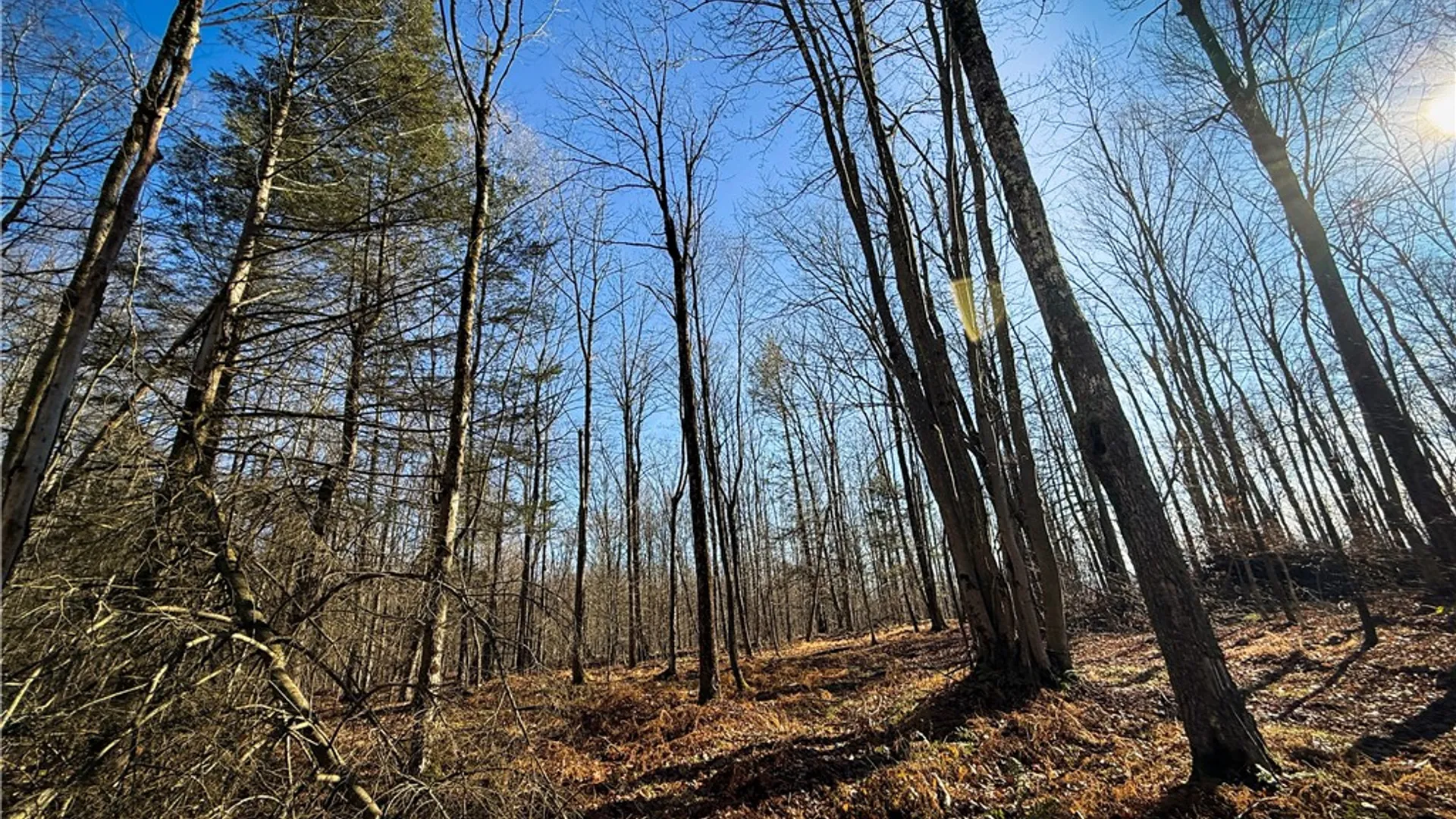 Property at Lot-02 Langford Creek Road, Van Etten, NY 14889 27