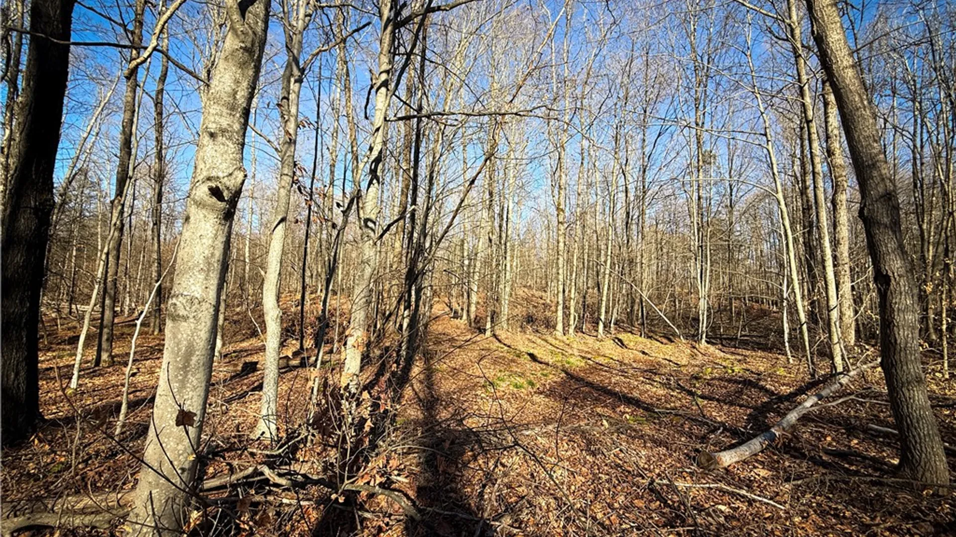 Property at Lot-02 Langford Creek Road, Van Etten, NY 14889 29