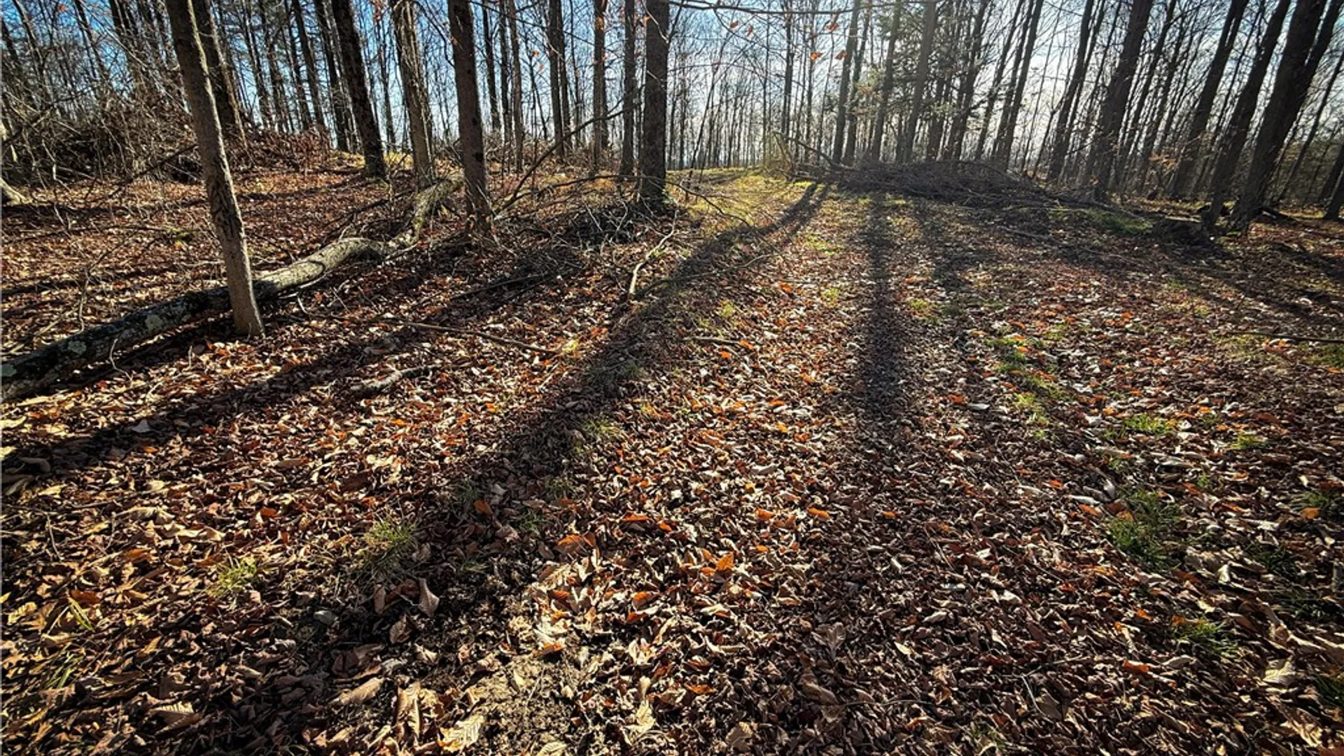 Property at Lot-02 Langford Creek Road, Van Etten, NY 14889 30