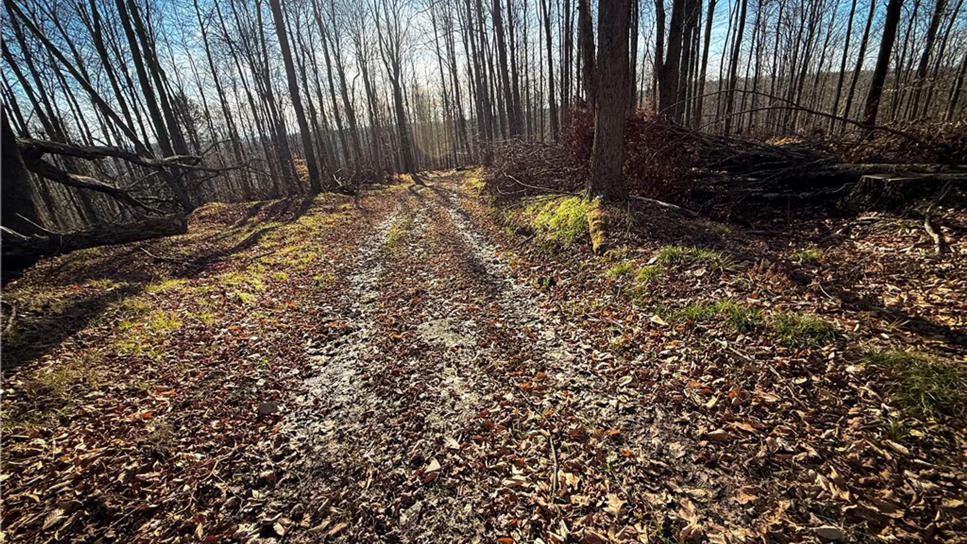 Property at Lot-02 Langford Creek Road, Van Etten, NY 14889 31