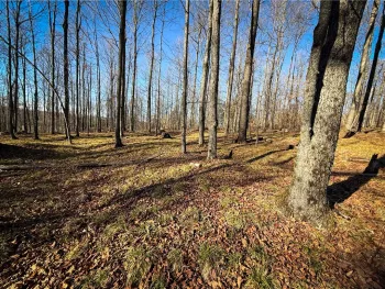 Property at Lot-01 Langford Creek Road, Van Etten, NY 14889