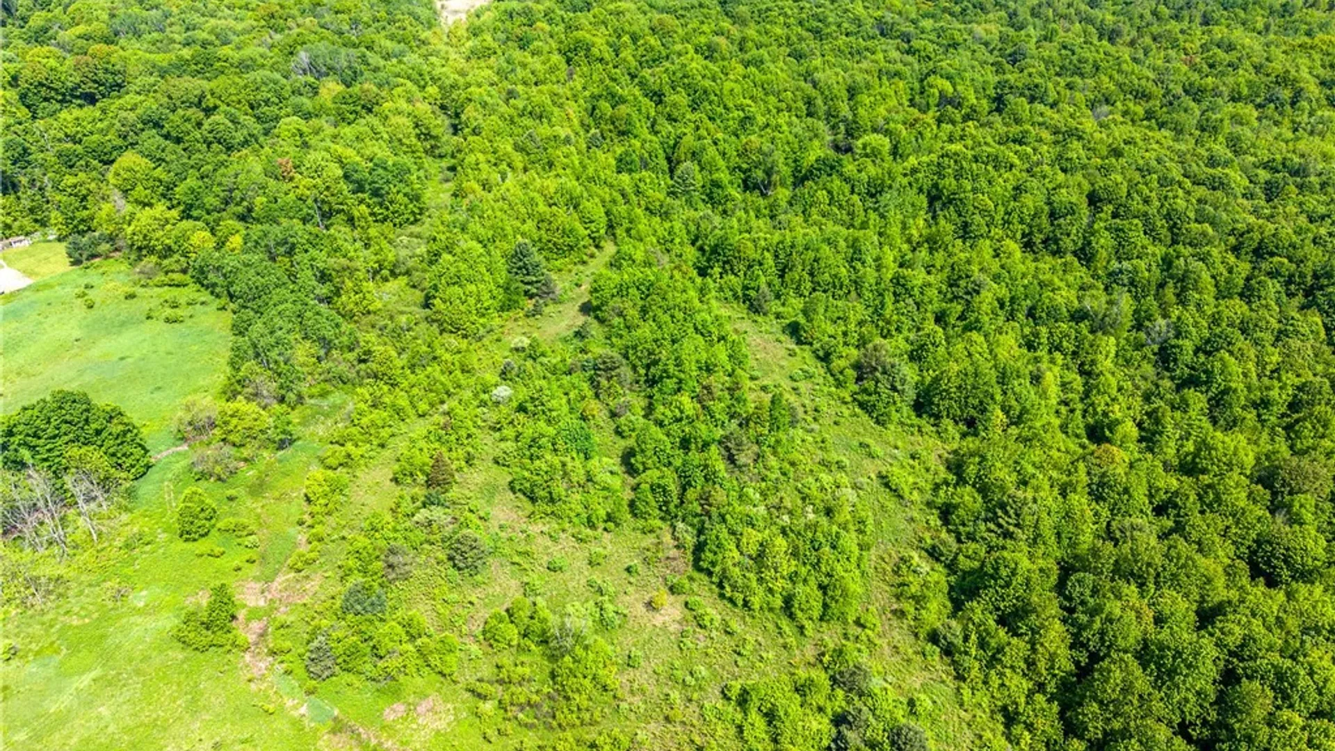 Property at County Route 4, Palermo, NY 13069 7