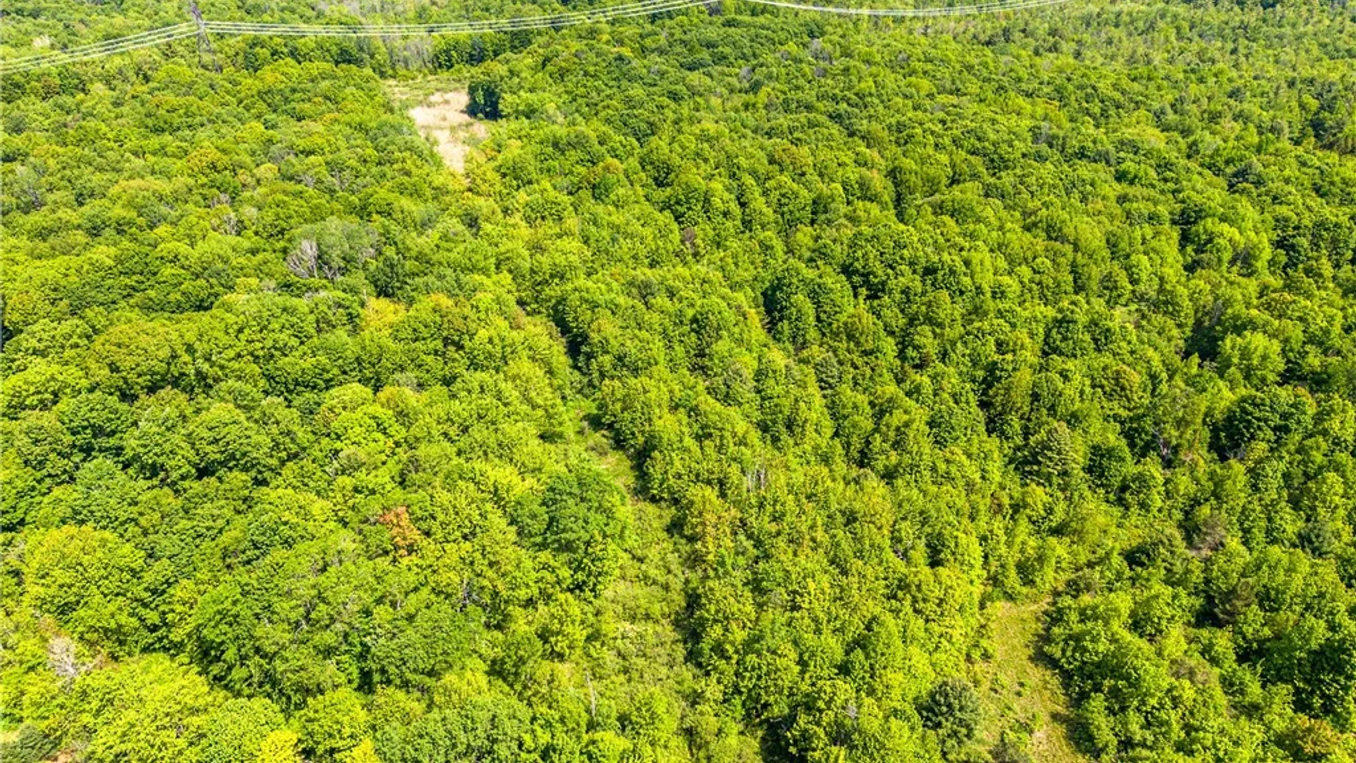 Property at County Route 4, Palermo, NY 13069 10
