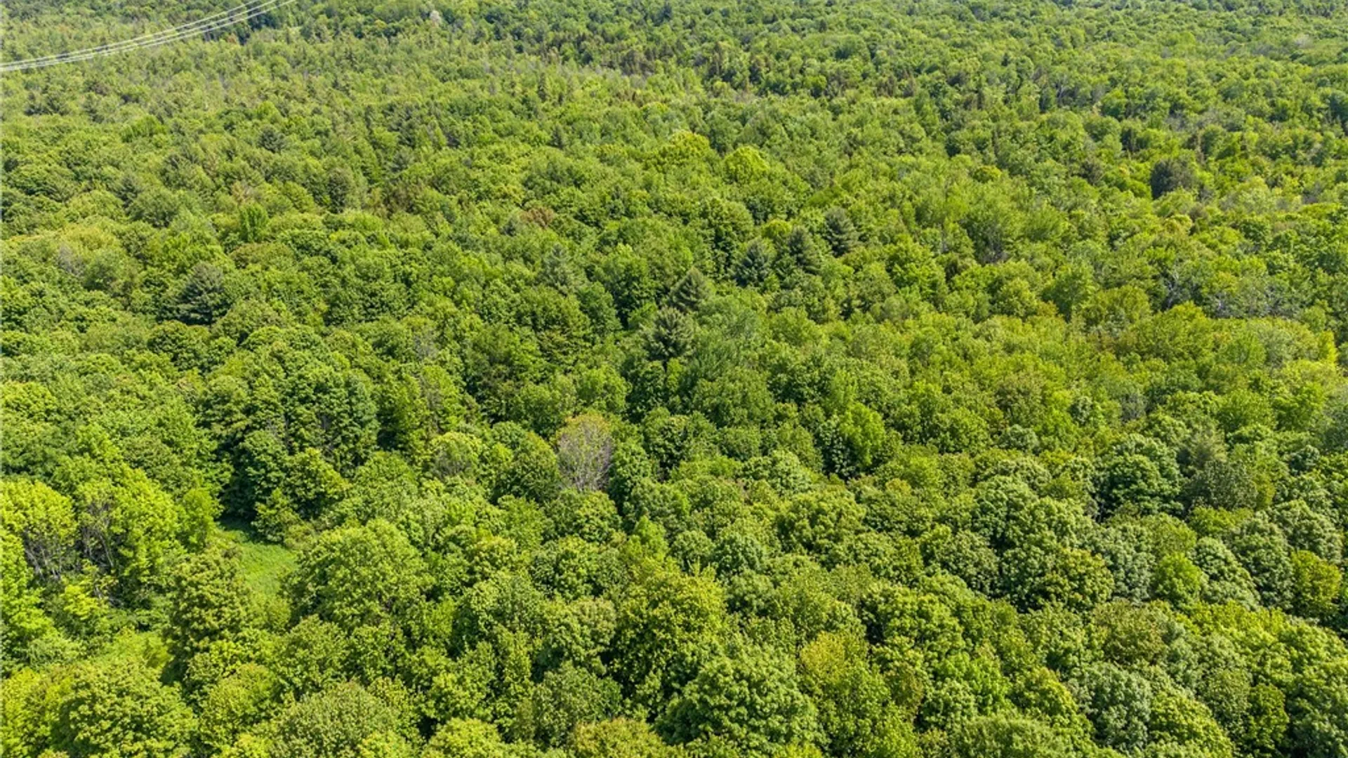 Property at County Route 4, Palermo, NY 13069 16