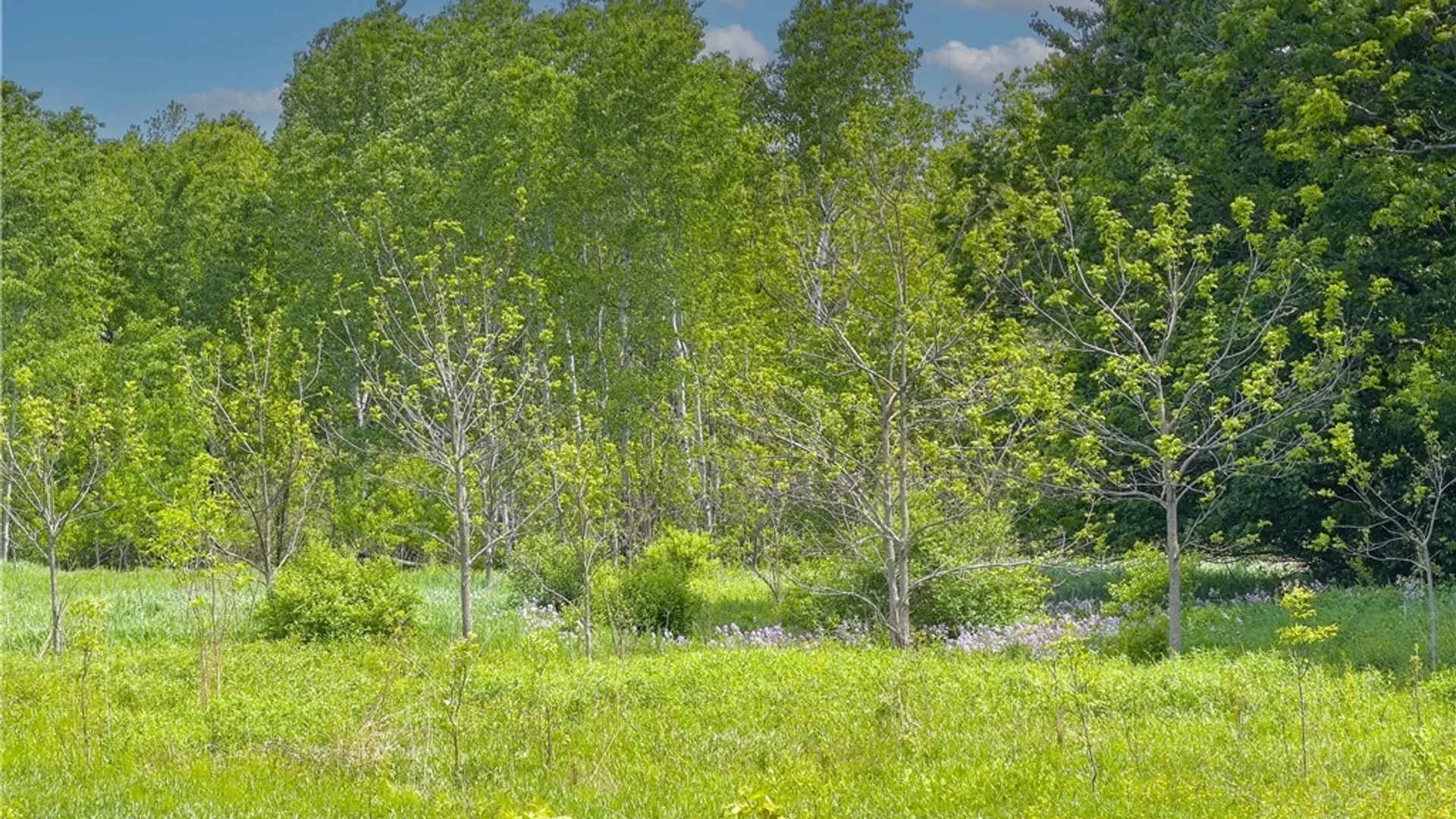 Property at County Route 4, Palermo, NY 13069 26
