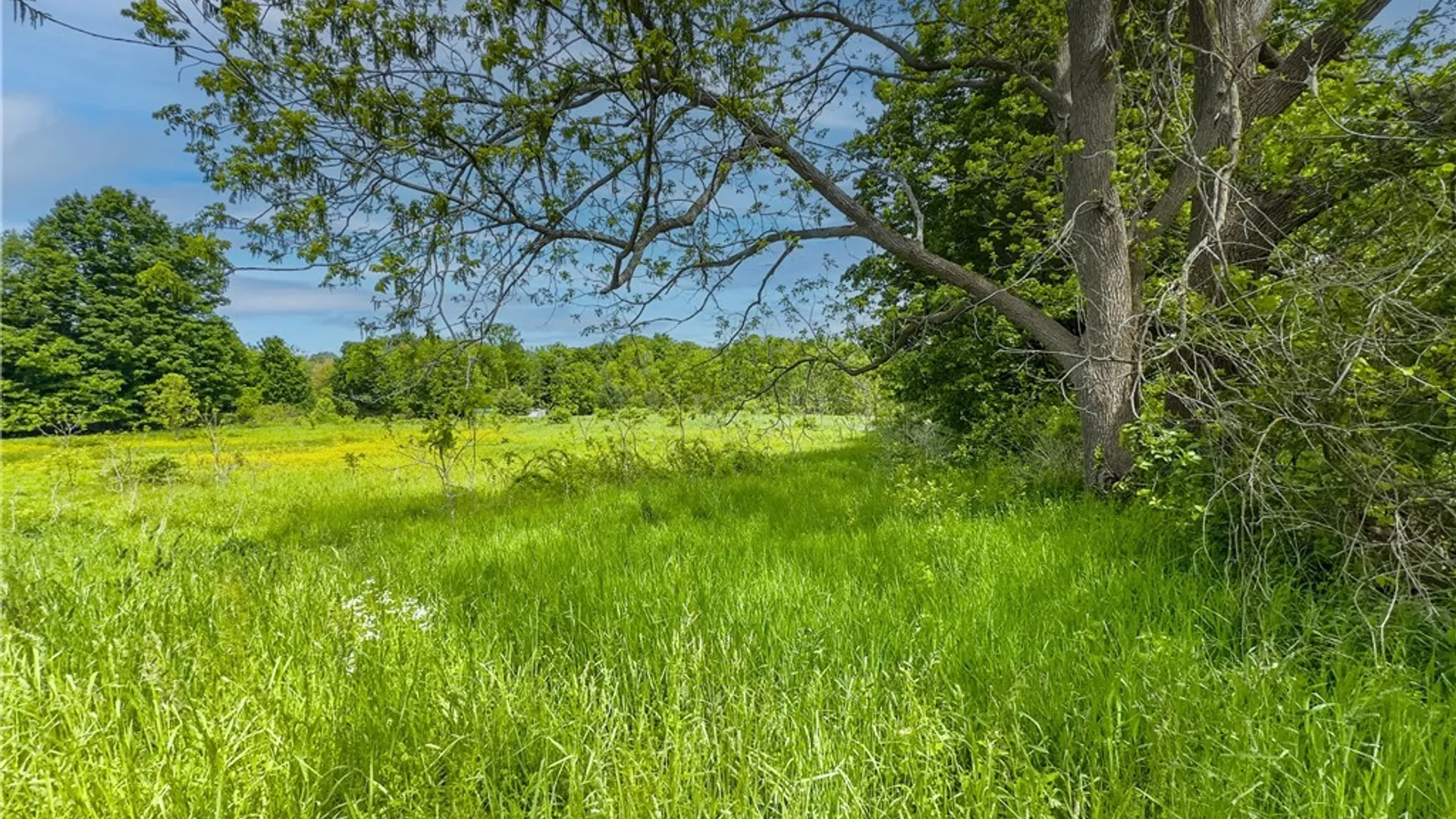 Property at County Route 4, Palermo, NY 13069 27