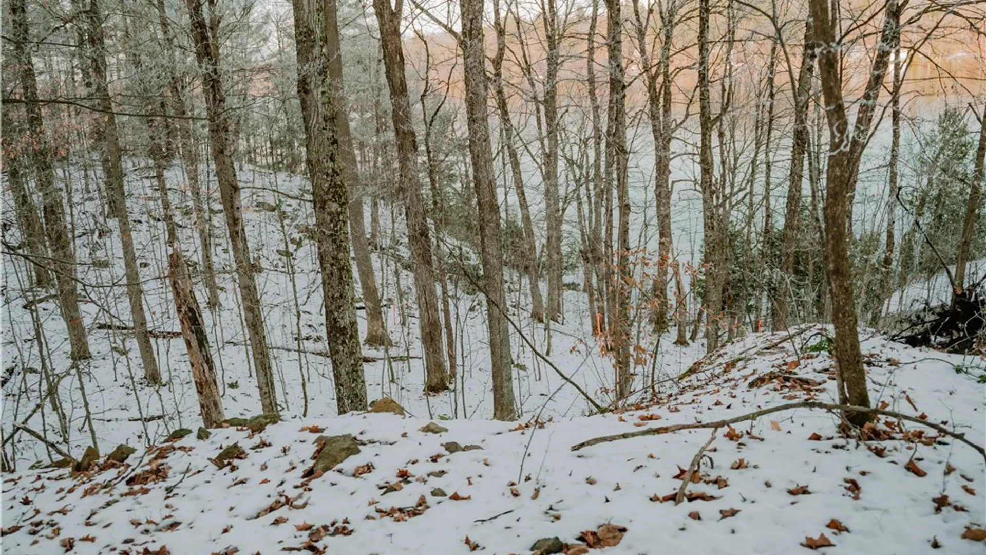 Property at Lot 1 Dewey Point Lane, Diana, NY 13648 6
