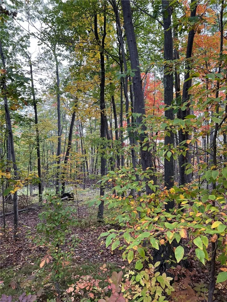 Property at Steege Hill Road, Big Flats, NY 14830