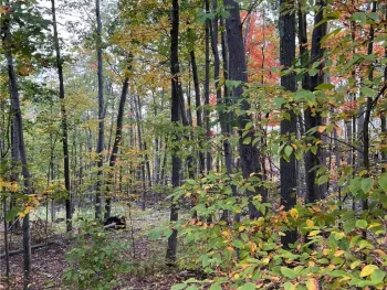 Property at Steege Hill Road, Big Flats, NY 14830
