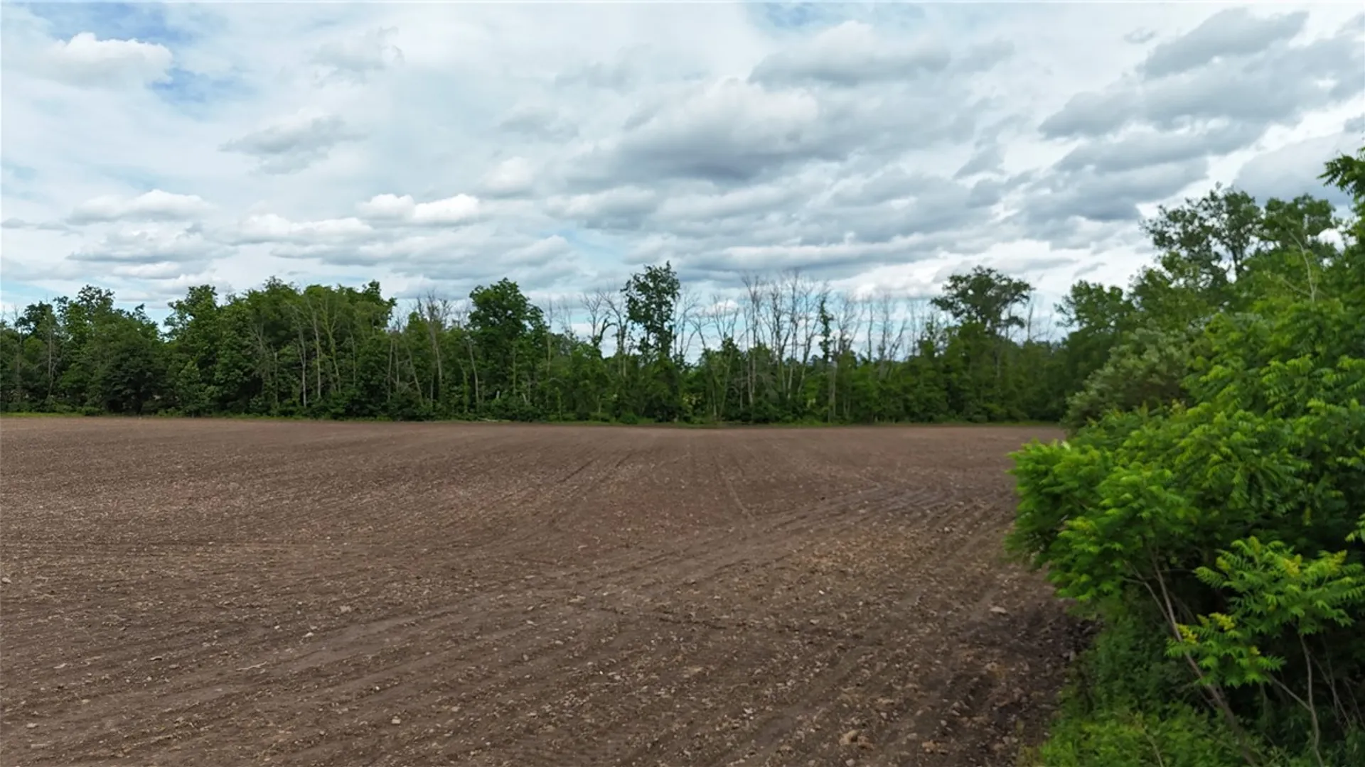 Property at 0 Lynch Road, Murray, NY 14470 4