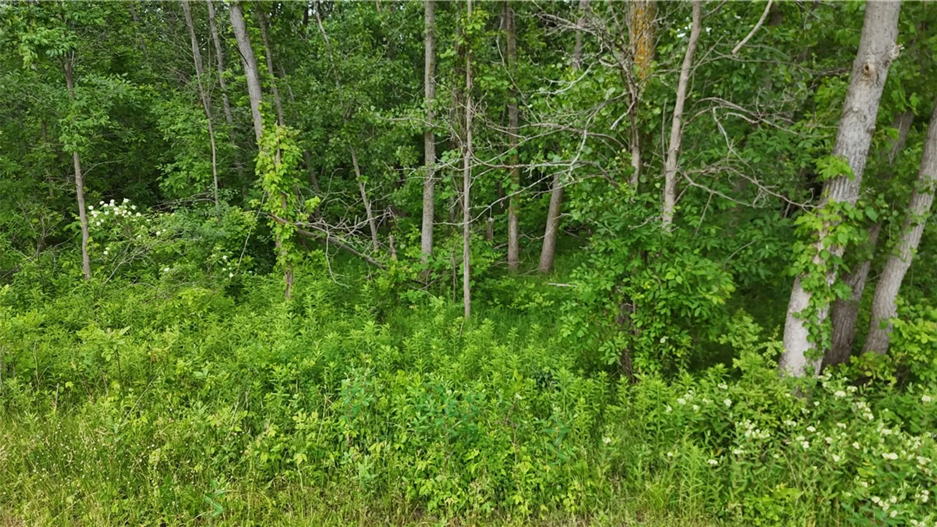 Property at 0 Lynch Road, Murray, NY 14470 19
