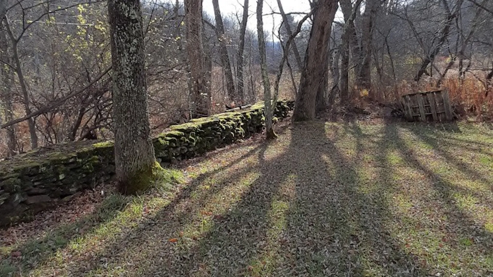 Property at 1490 County Highway 10, Meredith, NY 13757 48