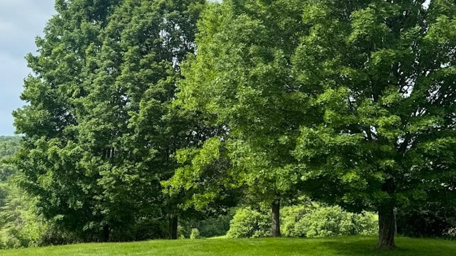 Property at 1490 County Highway 10, Meredith, NY 13757 9