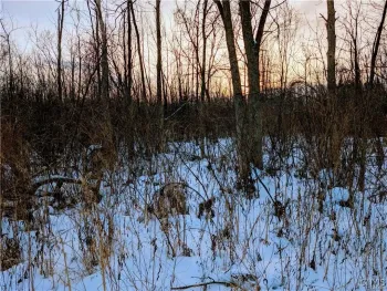Property at Manlius Road, Manlius, NY 13082