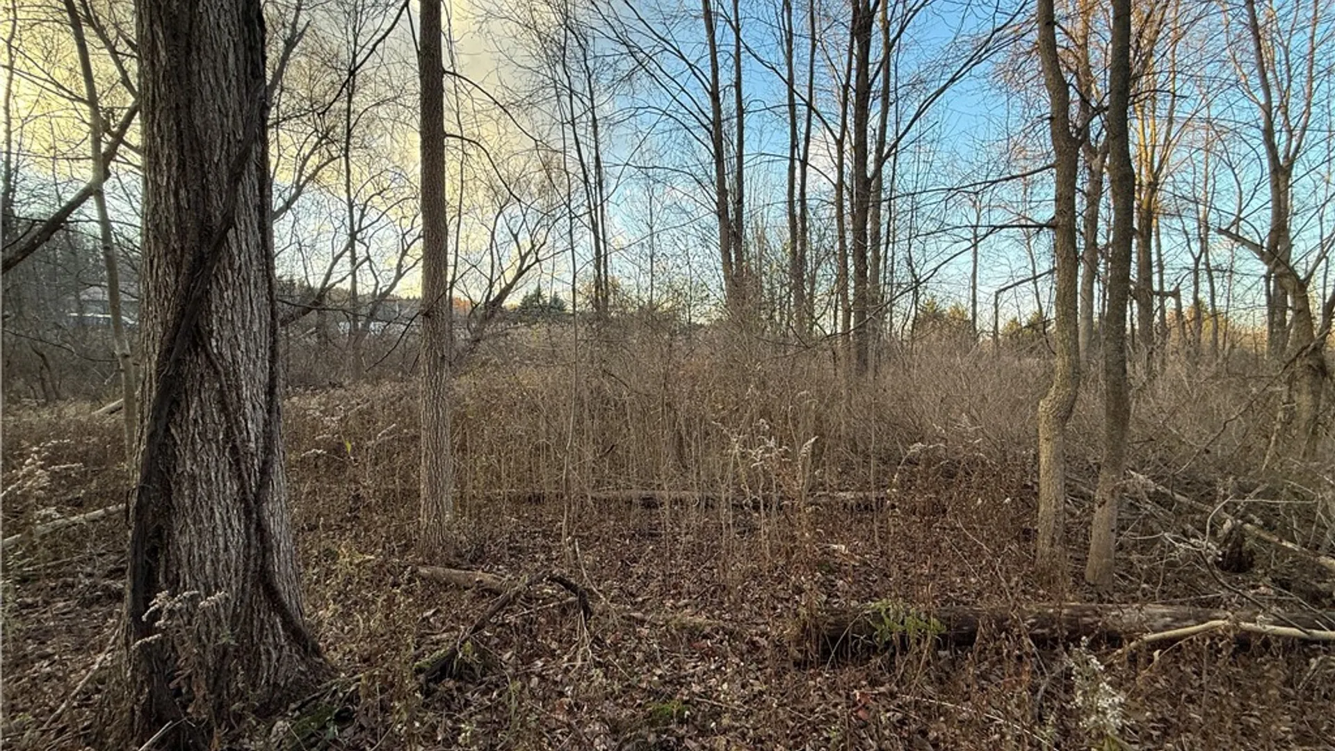 Property at 8096 104a, Wolcott, NY 14590 15