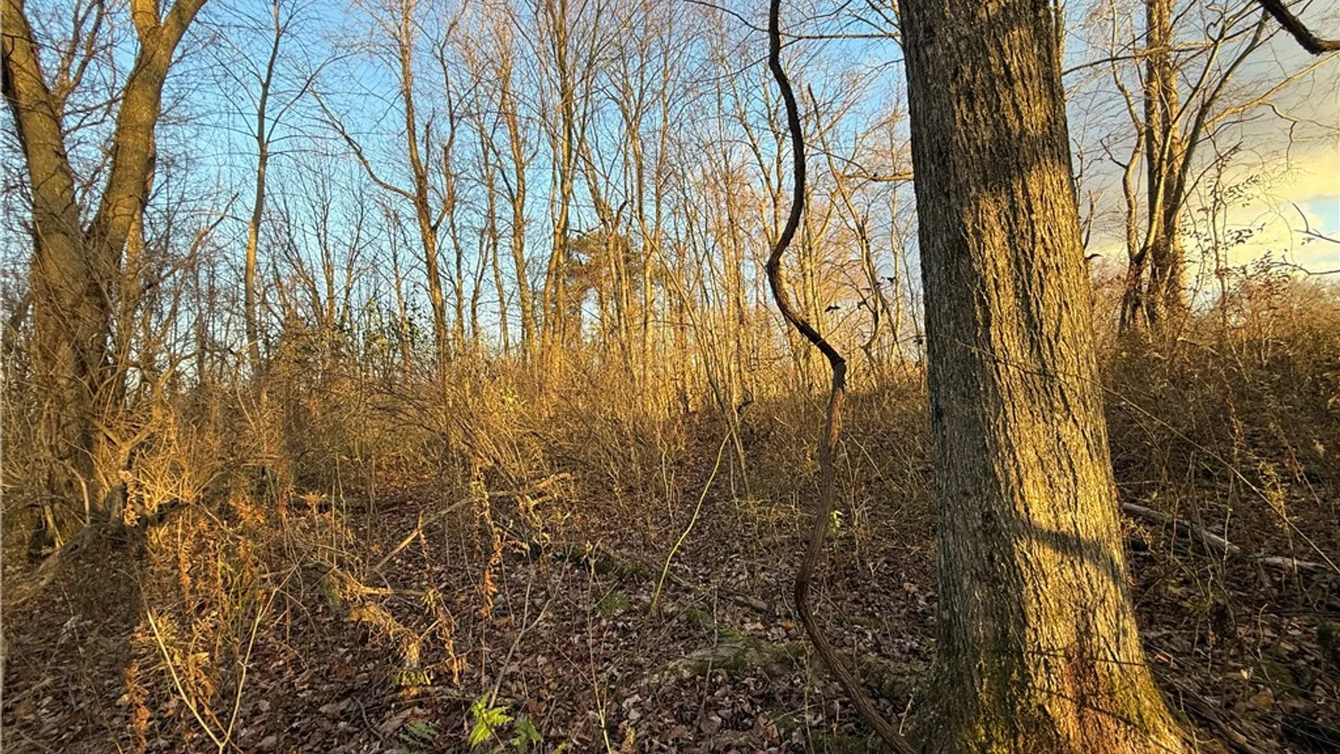 Property at 8096 104a, Wolcott, NY 14590 18