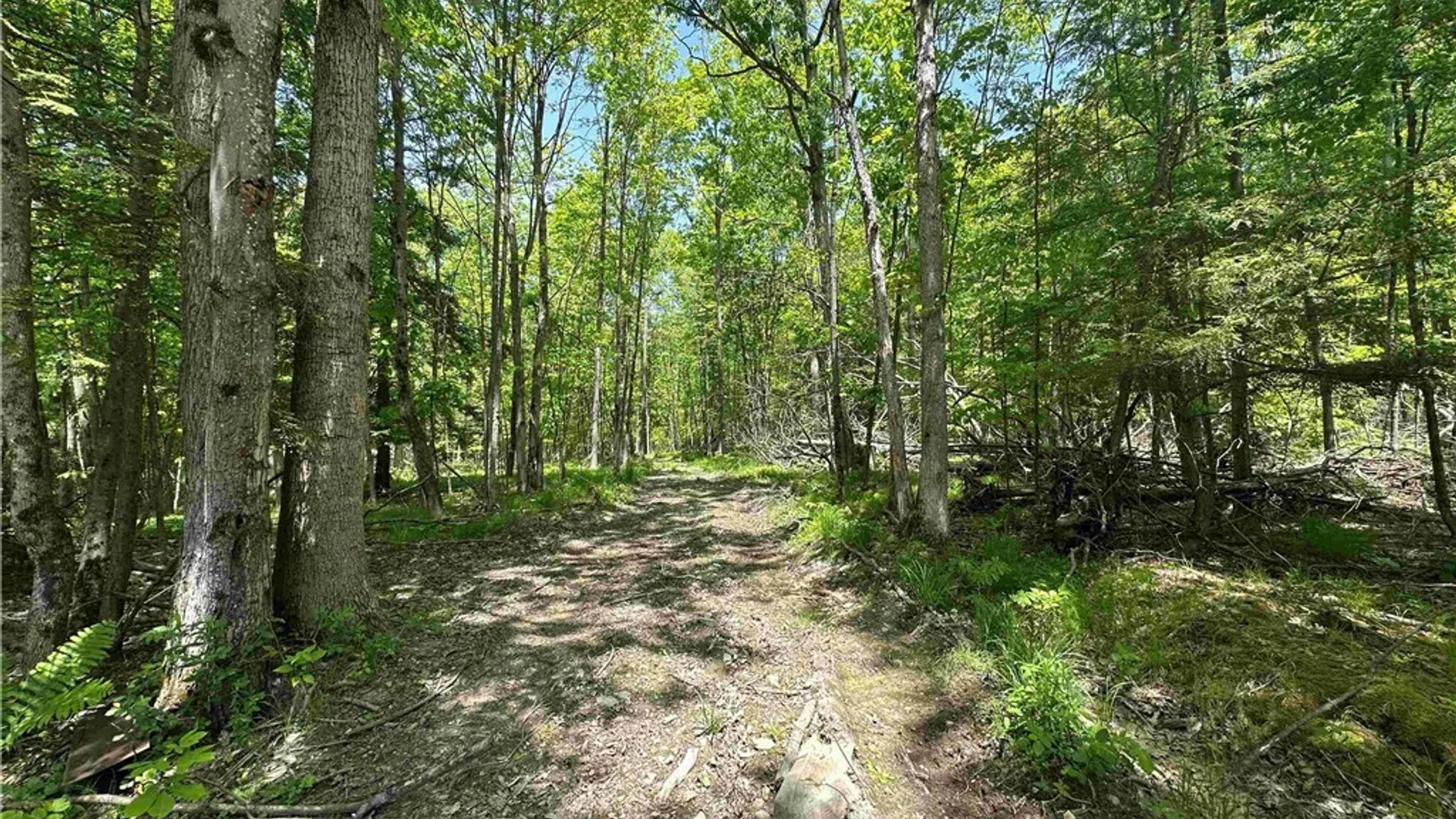 Property at River Road, Amity, NY 14813 13