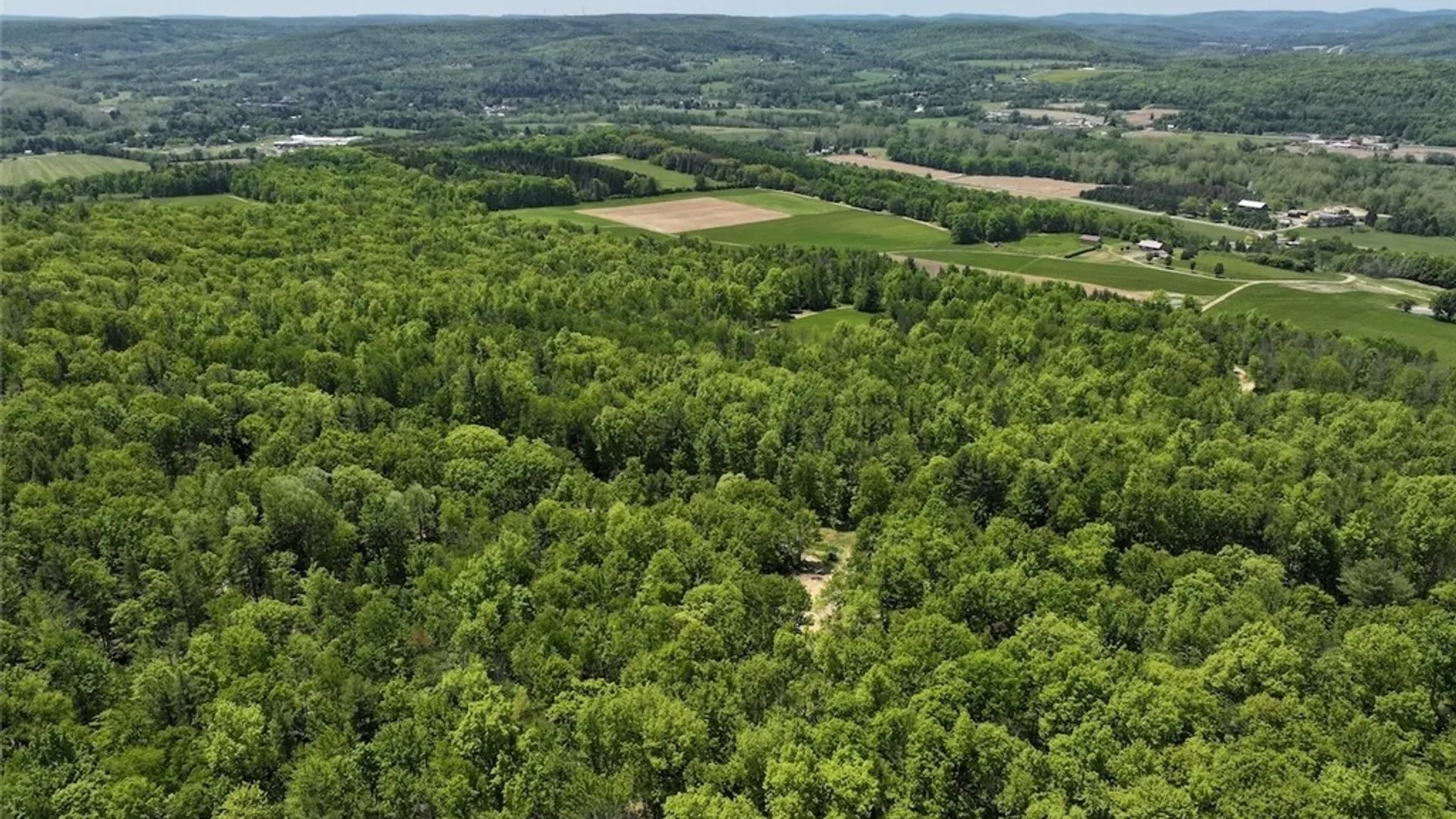 Property at River Road, Amity, NY 14813 23