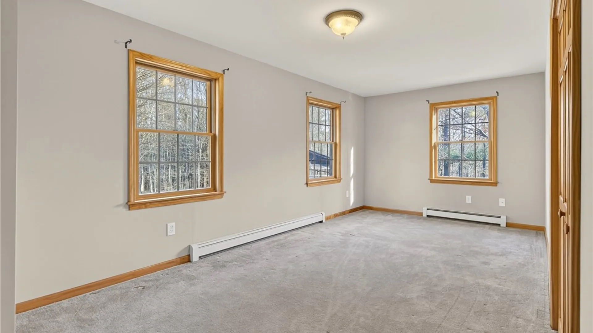 Property at 1605 Coddington Road, Caroline, NY 14817 16