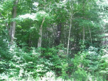 Property at 62054 State Route 415, Cohocton, NY 14826