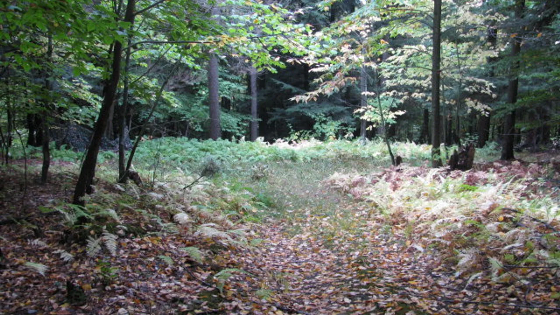 Property at 62054 State Route 415, Cohocton, NY 14826 3