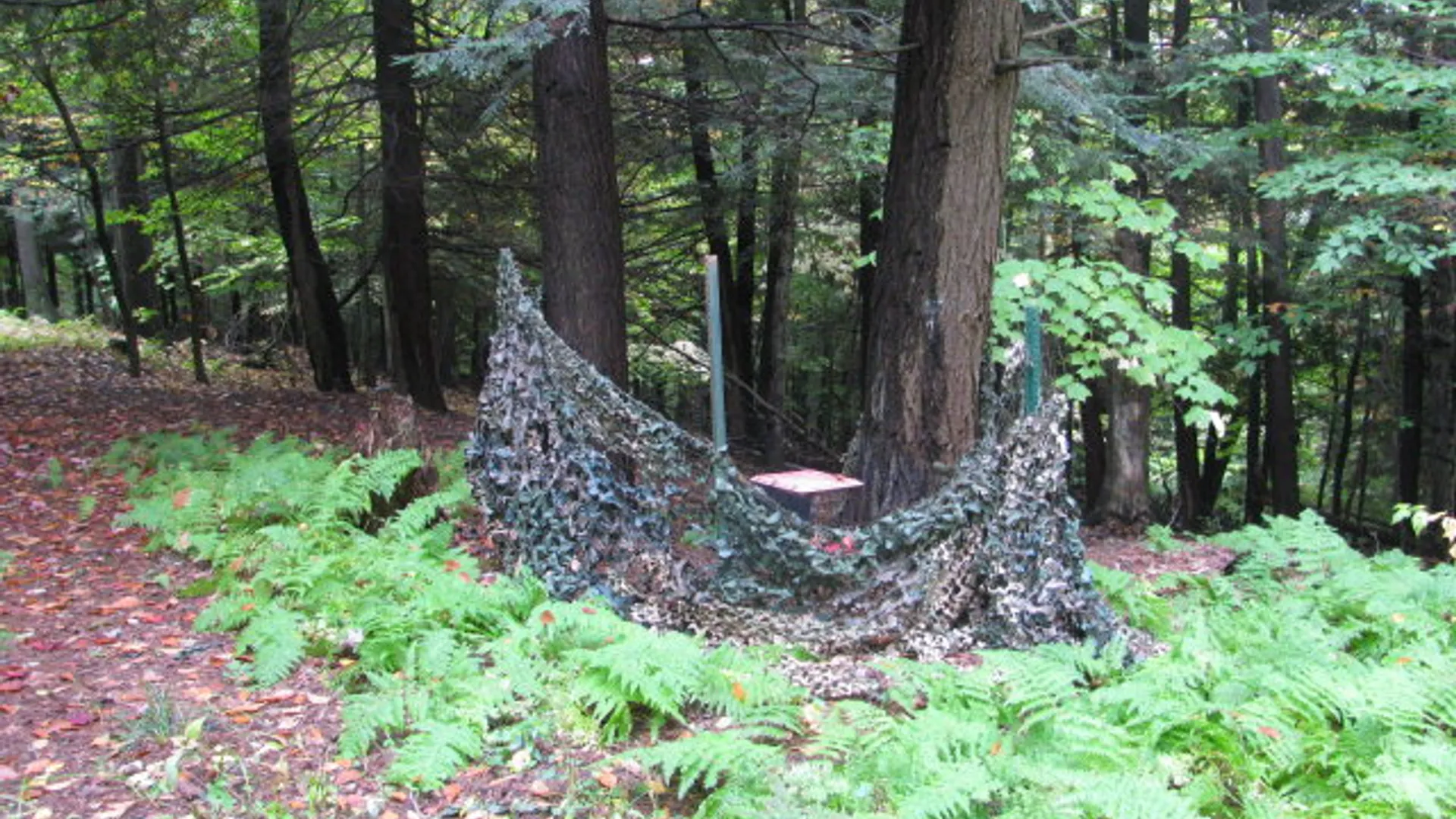 Property at 62054 State Route 415, Cohocton, NY 14826 4