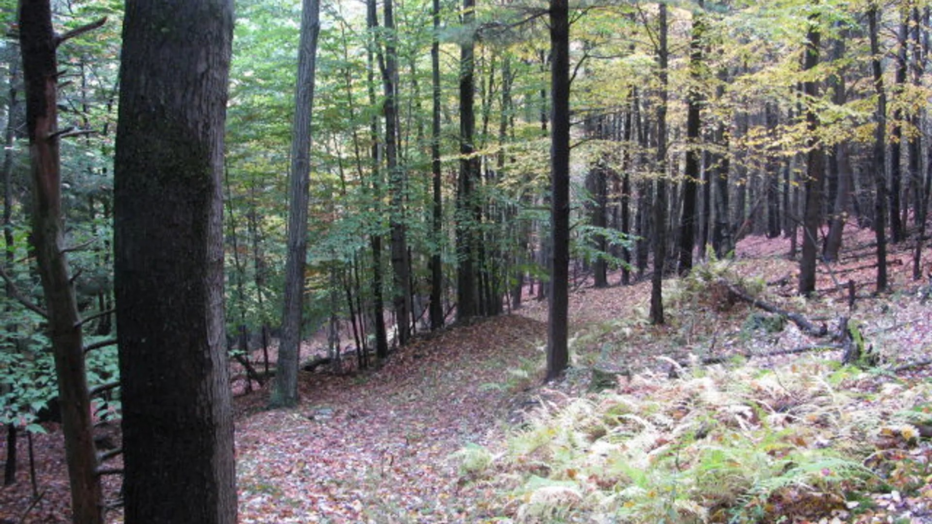 Property at 62054 State Route 415, Cohocton, NY 14826 5
