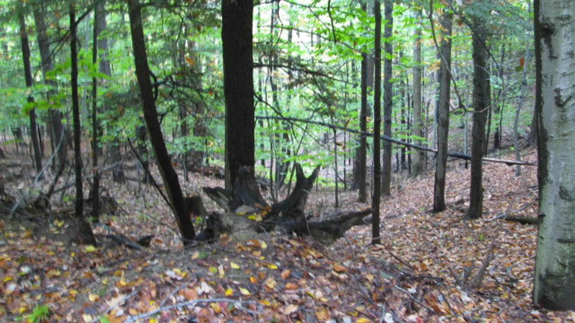 Property at 62054 State Route 415, Cohocton, NY 14826 6