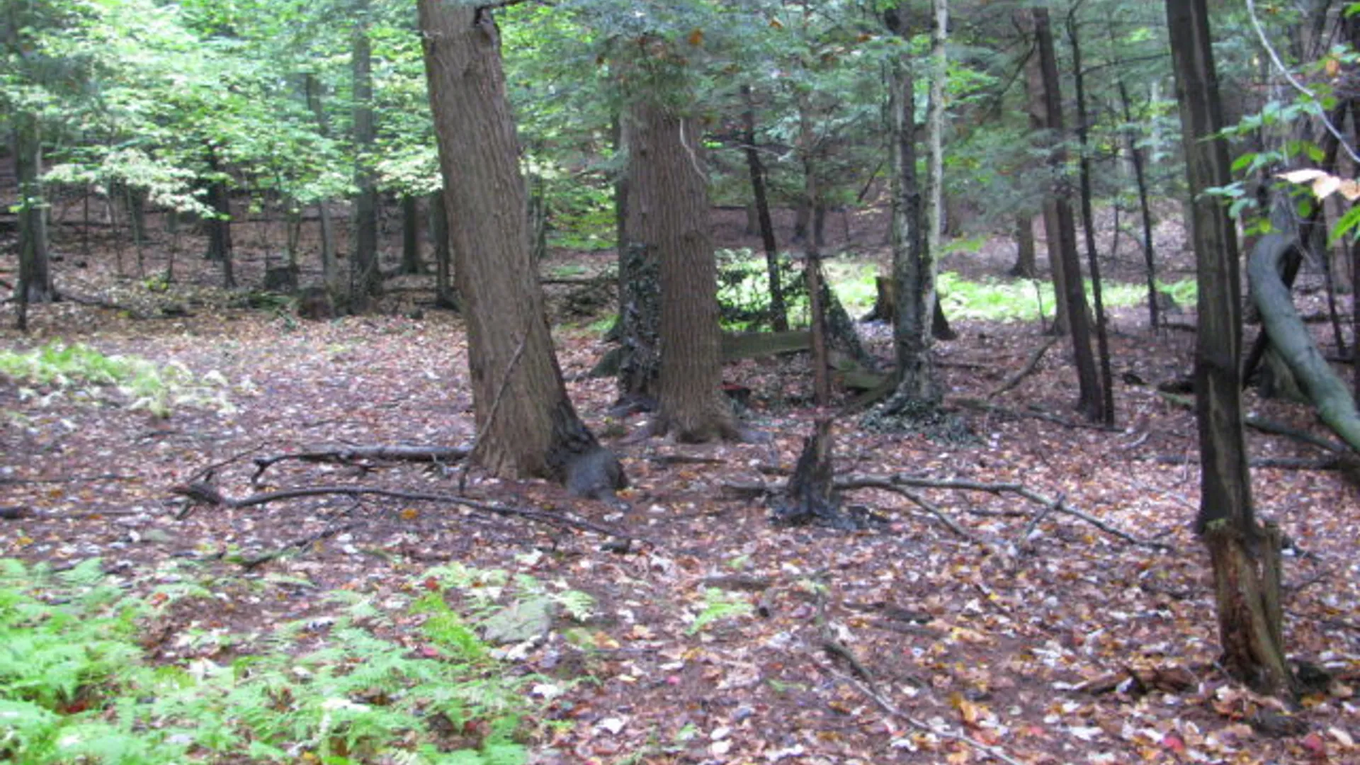 Property at 62054 State Route 415, Cohocton, NY 14826 7