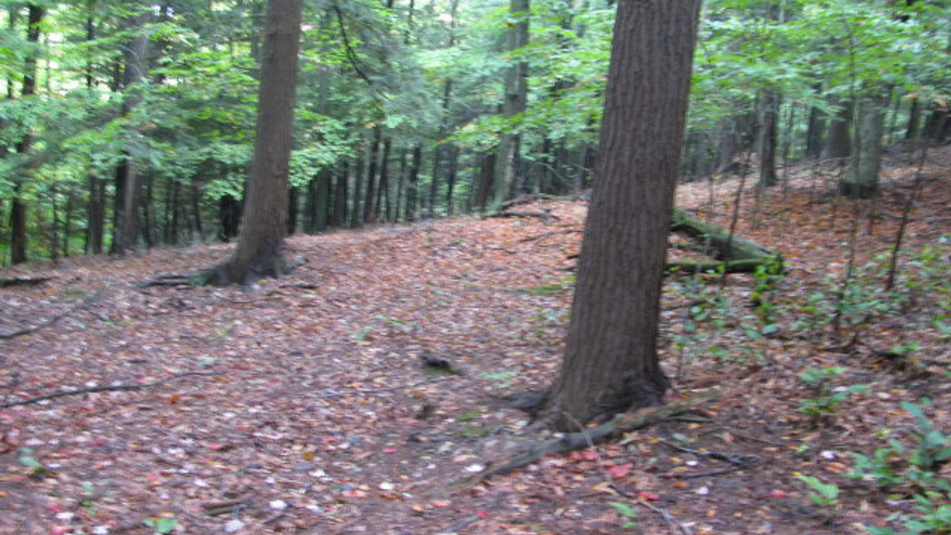 Property at 62054 State Route 415, Cohocton, NY 14826 8