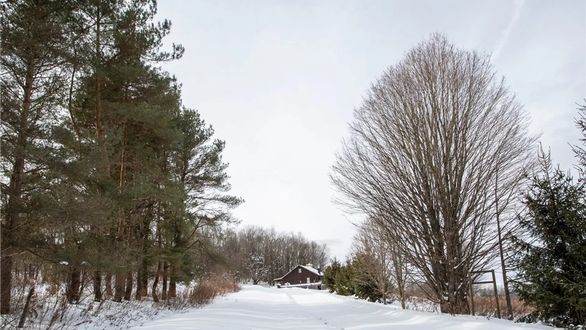 Property at 8397 Rohr Hill Road, East Otto, NY 14729 3