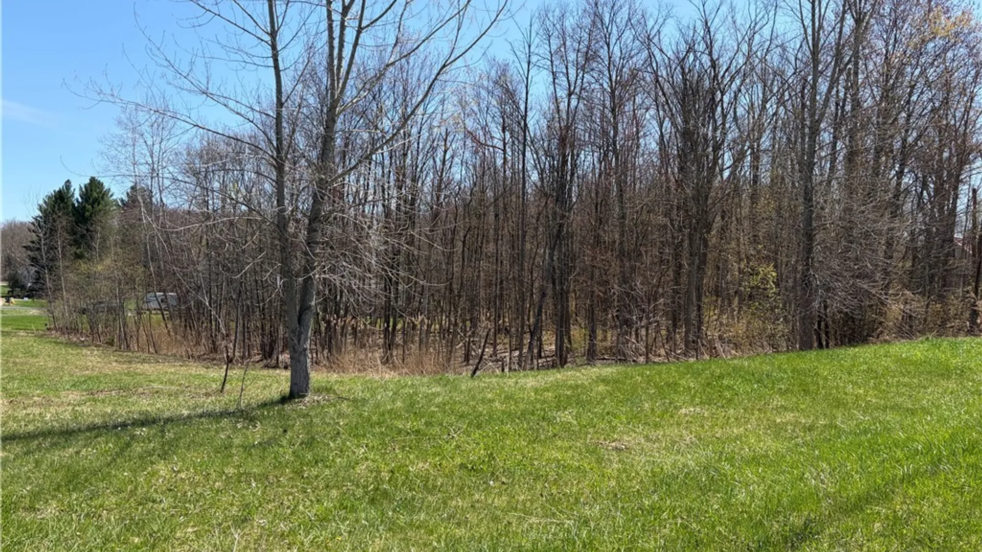 Property at 6 Belva Boulevard, Hastings, NY 13076 11