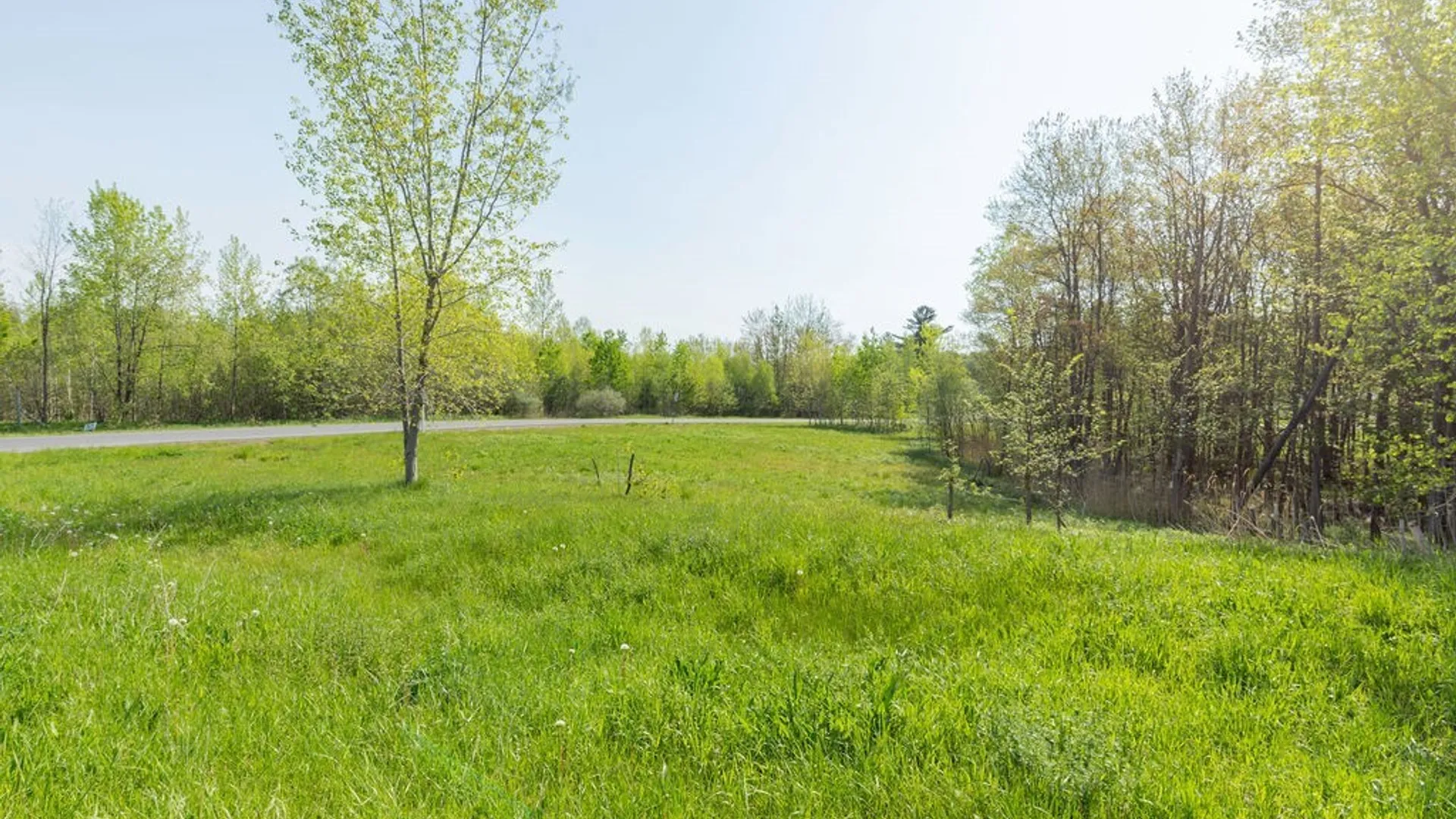Property at 6 Belva Boulevard, Hastings, NY 13076 20
