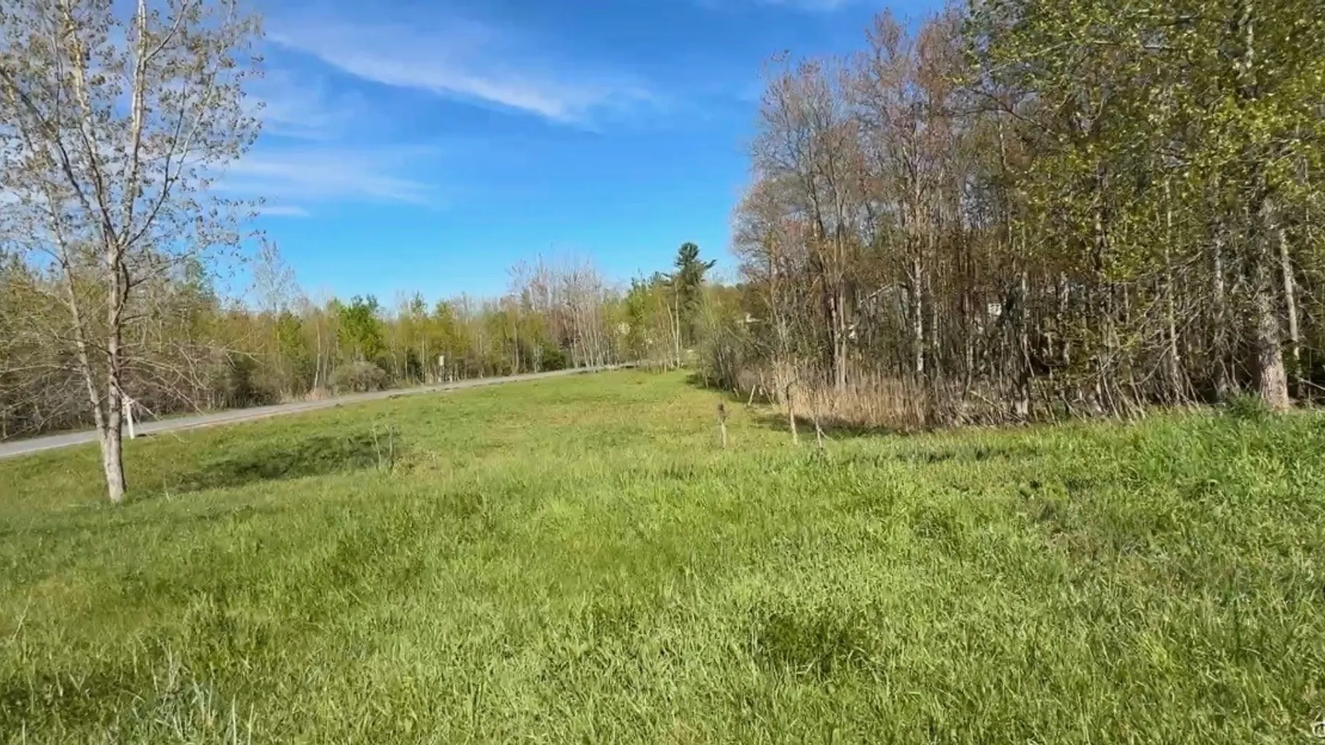 Property at 6 Belva Boulevard, Hastings, NY 13076 3