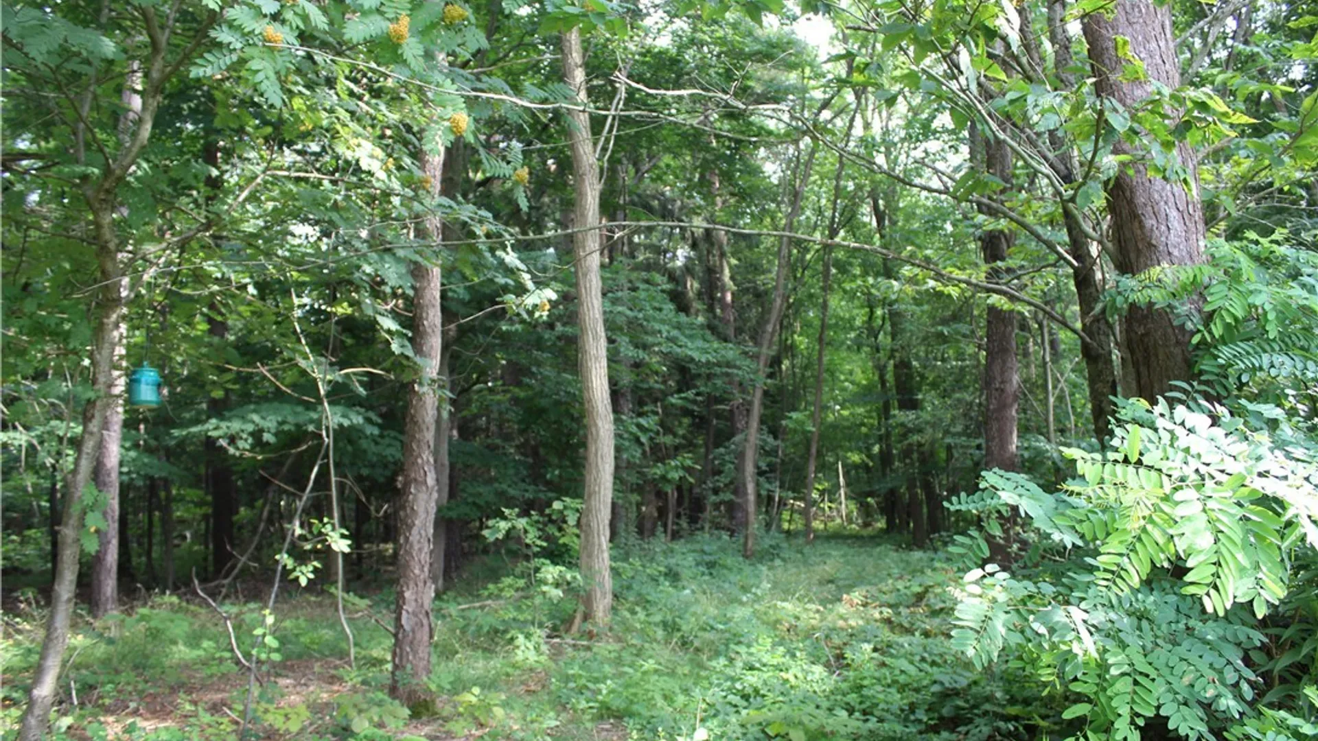 Property at Woleben Road, Portland, NY 14769 11