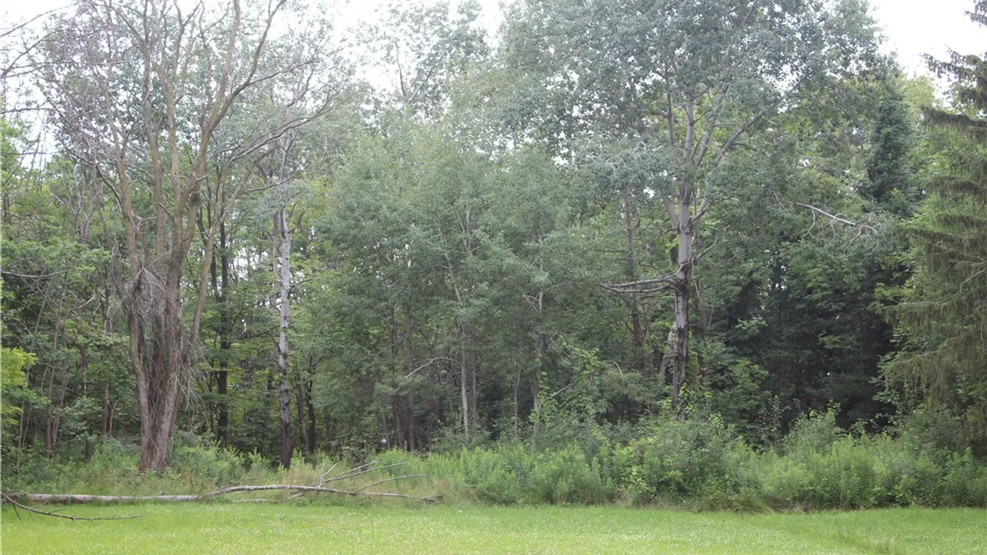 Property at Woleben Road, Portland, NY 14769 12