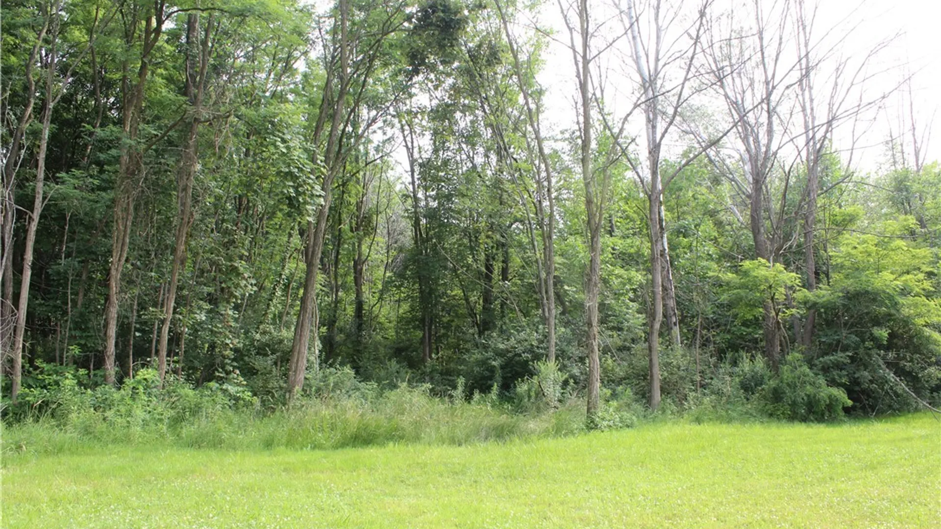 Property at Woleben Road, Portland, NY 14769 13
