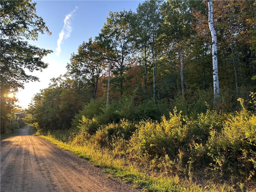 Property at VL Linkletter Road, Almond, NY 14807