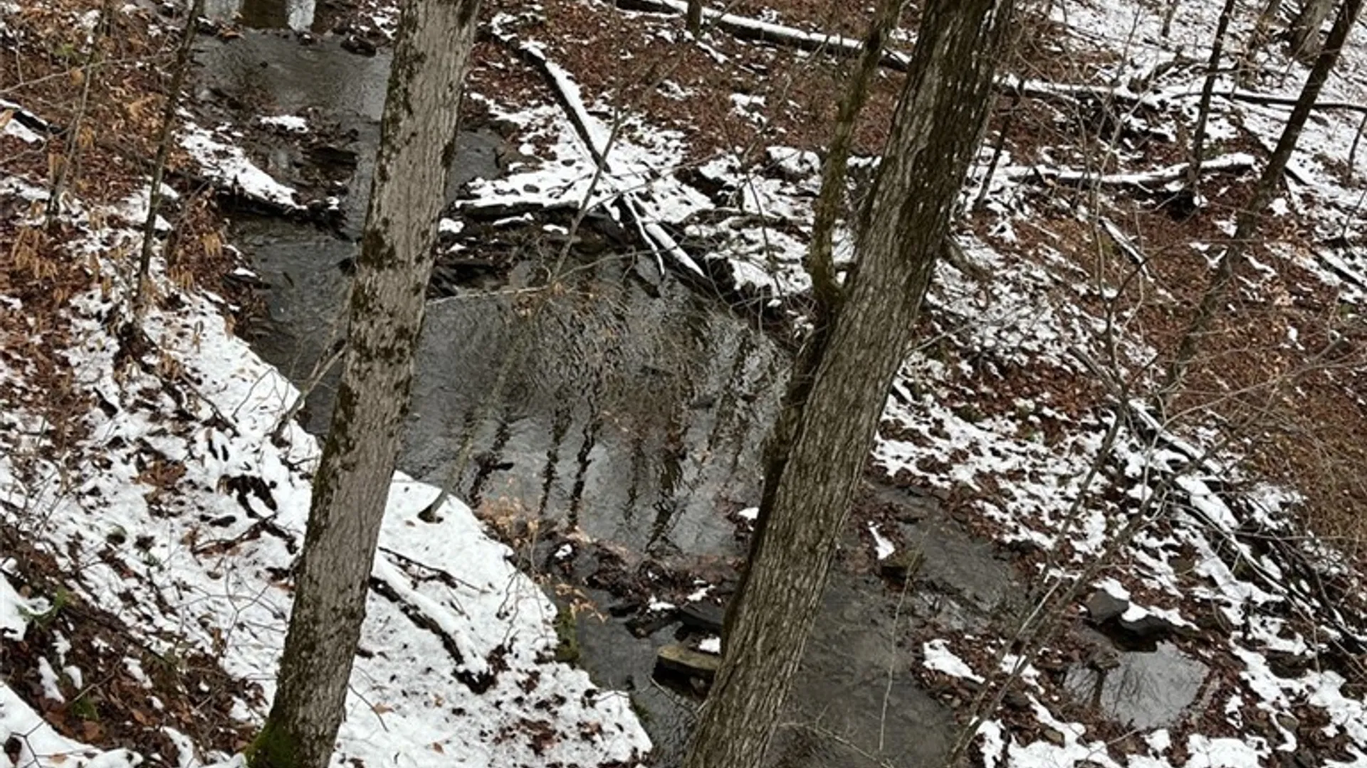 Property at Jersey Hill Road, Birdsall, NY 14822 7