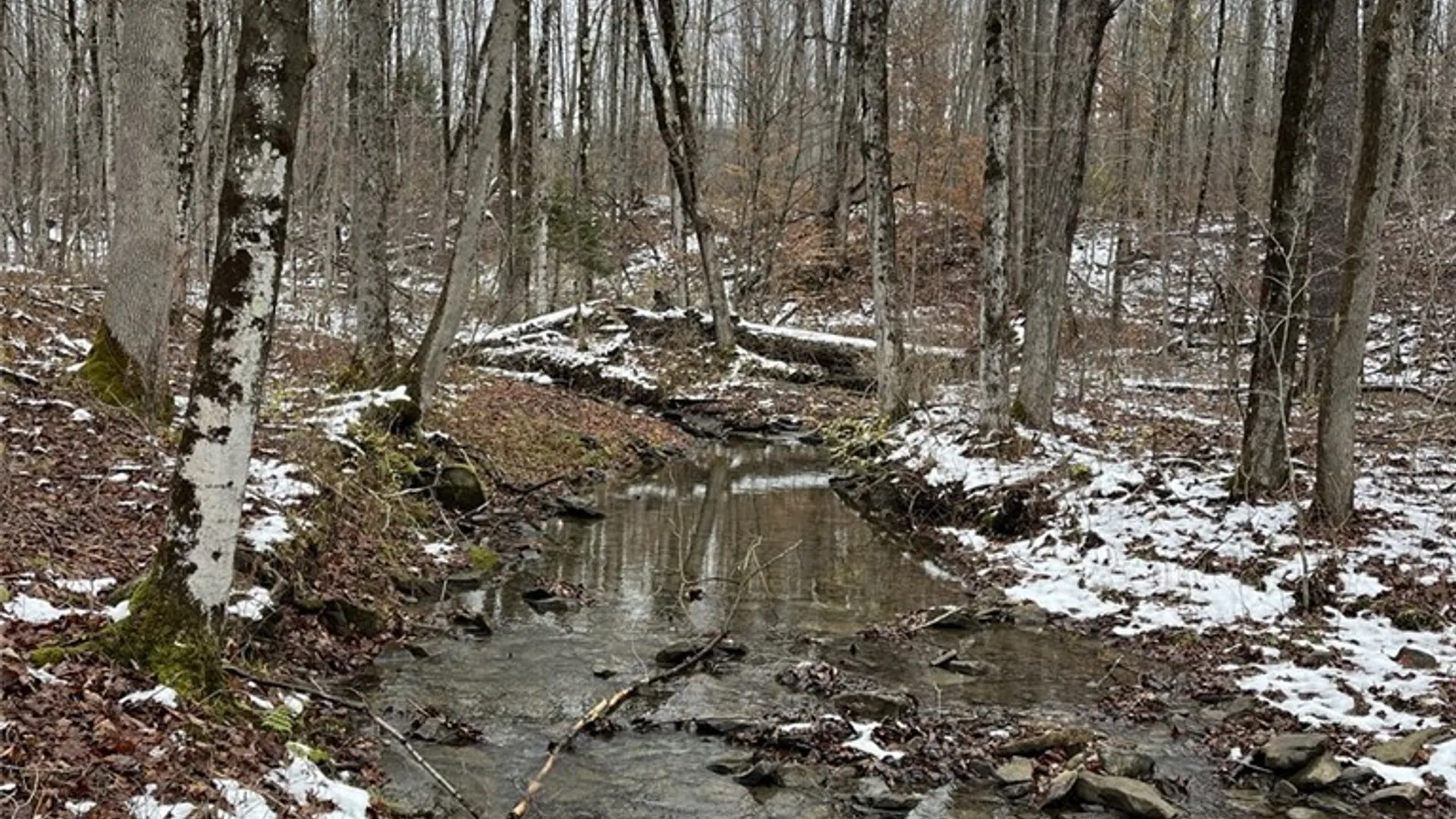 Property at Jersey Hill Road, Birdsall, NY 14822 8